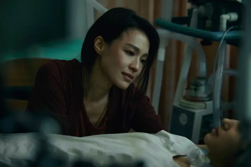 回魂计电视剧全集上线_回魂计剧情简介_回魂计呈现缅北诈骗全过程