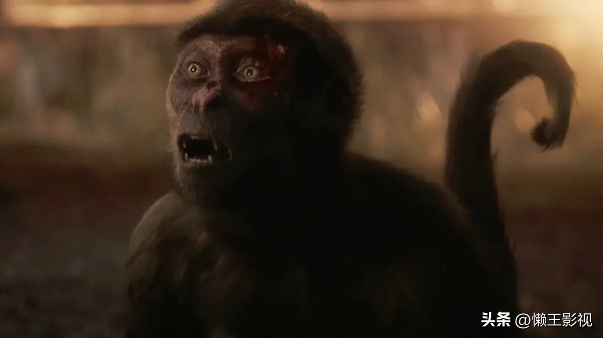 回魂计_回魂计三位影后演技_回魂计剧情反转细思极恐