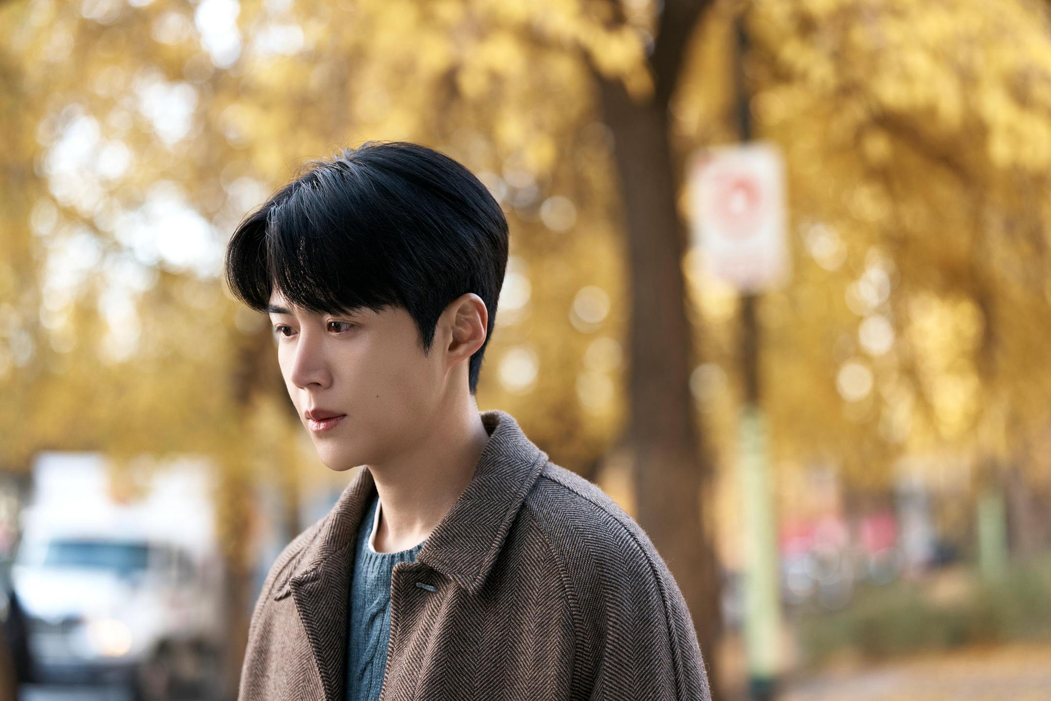 爱情怎么翻译 跨国恋综 语言错位_爱情怎么翻译？