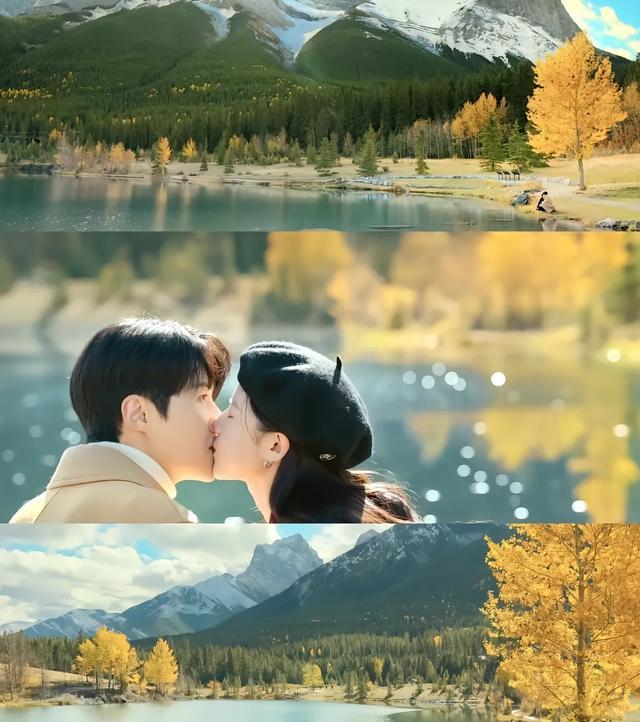 爱情怎么翻译_跨语言恋爱真人秀_爱情怎么翻译